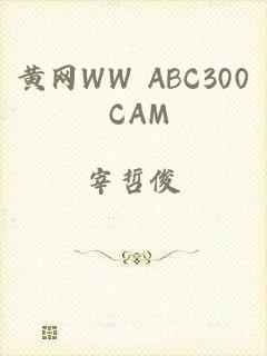 黄网WW ABC300 CAM